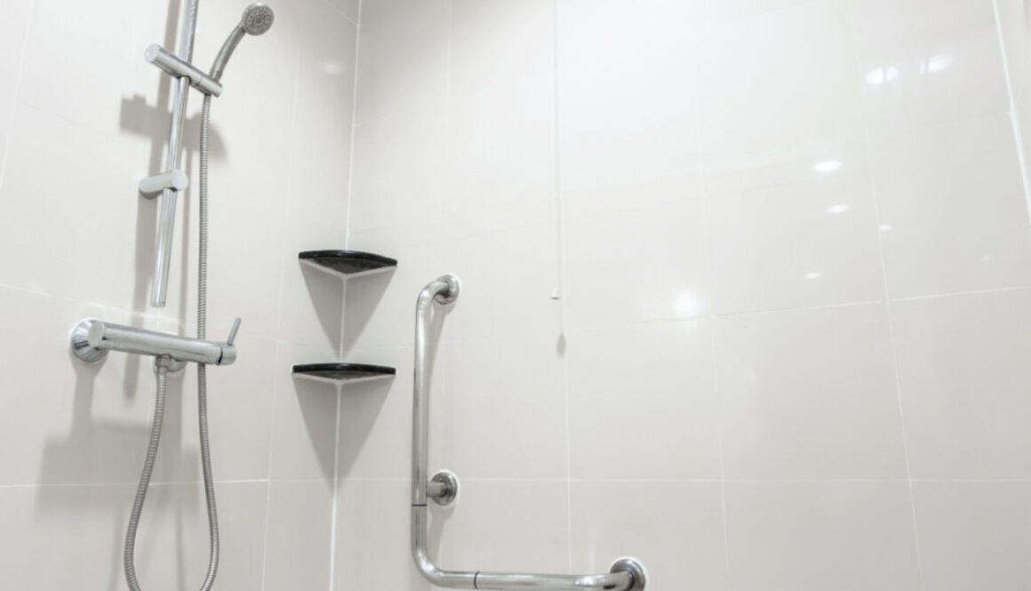 Modern shower with grab bars and shelves.