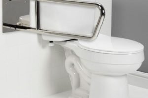 Accessible toilet with grab bar support