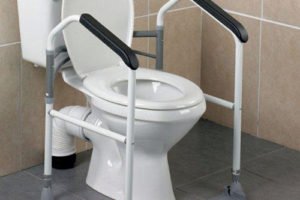 Toilet with safety grab bars for assistance